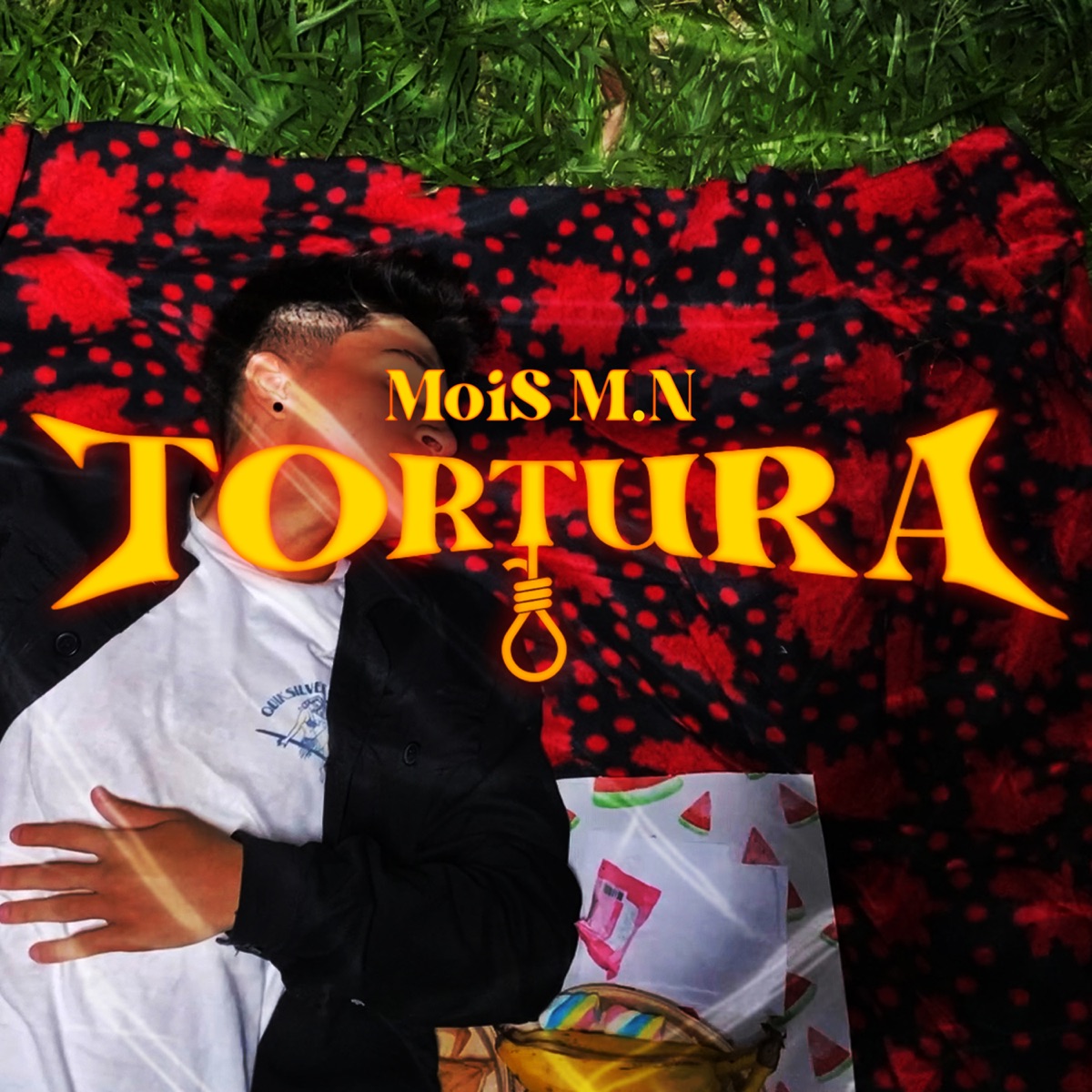 Tortura - Single by MoiS M.N album cover