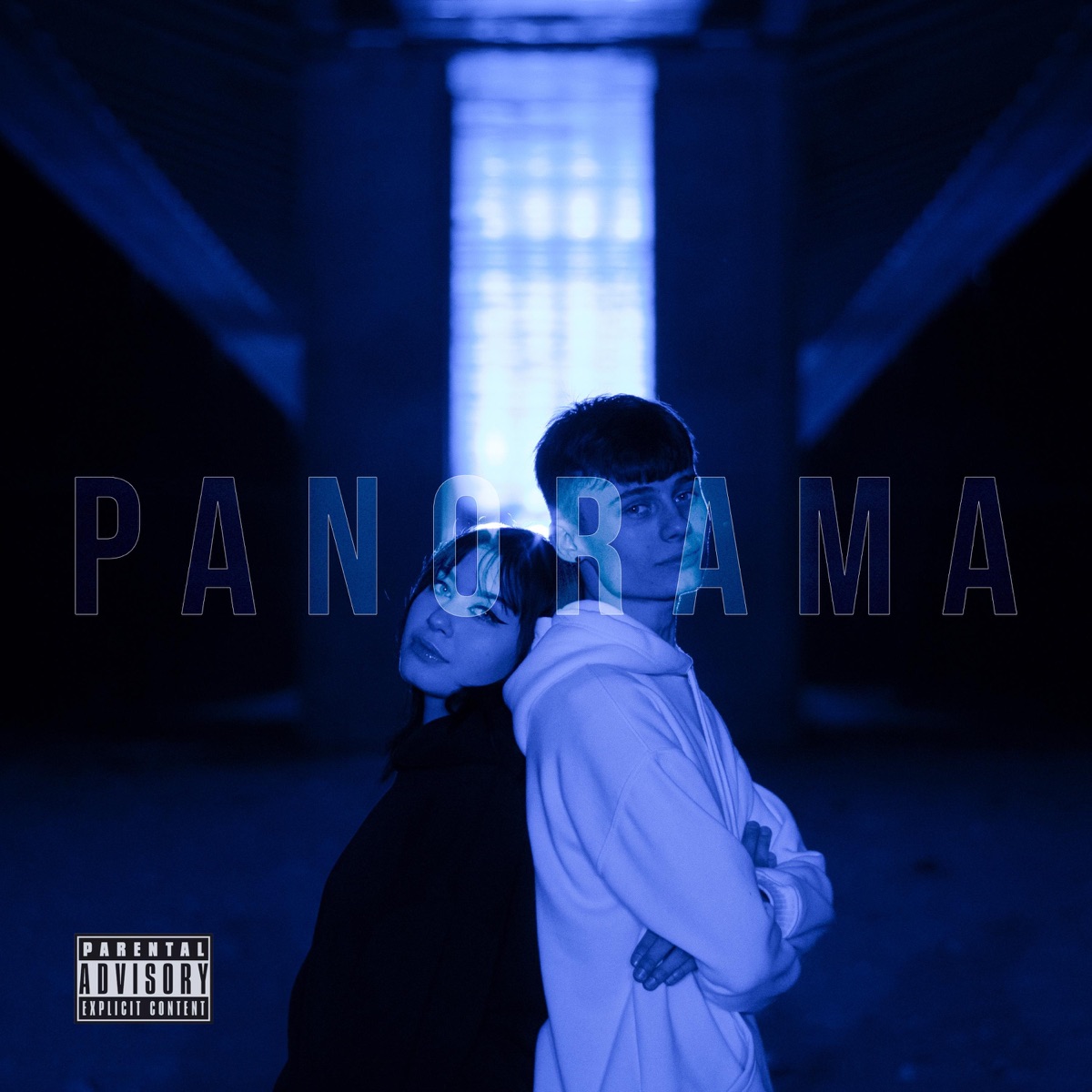 Panorama (feat. CRYEM) - Single by Bonsay album cover
