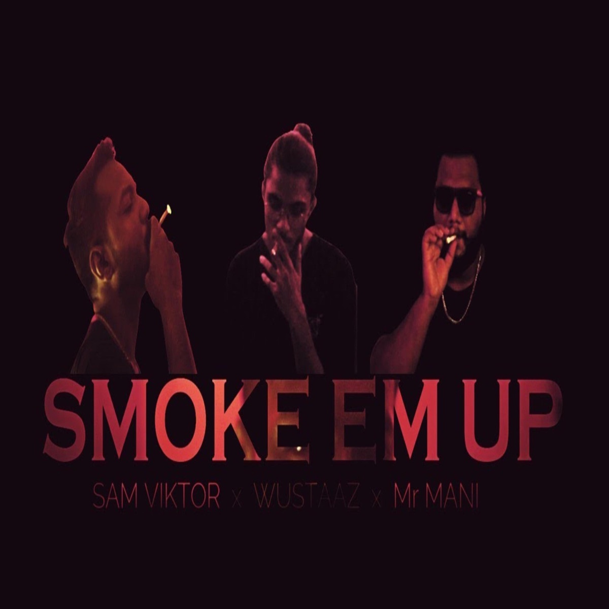 Smoke Em Up (feat. Wustaaz & Mr Mani) - Single by Sam Viktor album cover