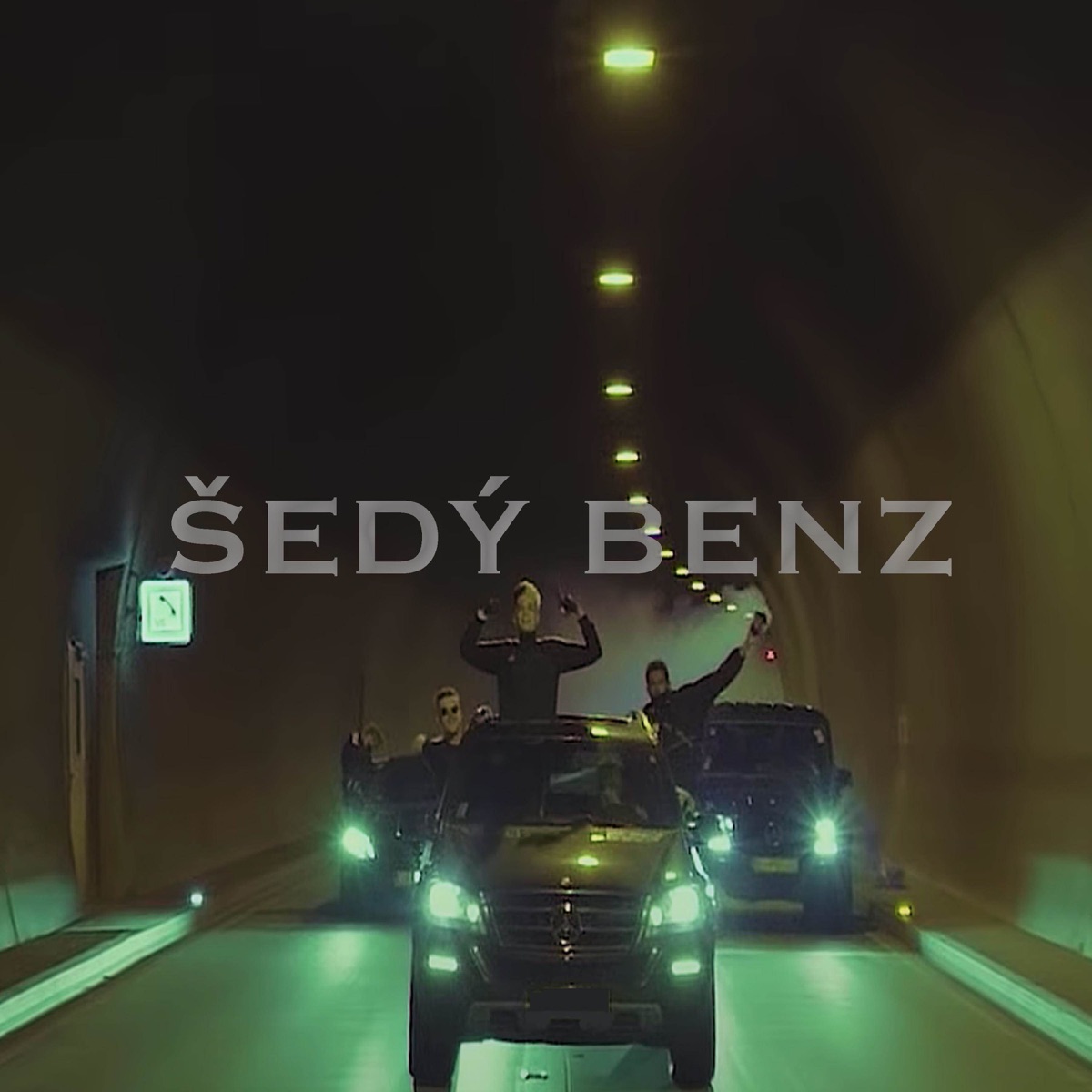Šedý benz (feat. Shaka CG, Vercetti CG & Forest Blunt) - Single by Luca Brassi10x & Tristan. Hoodrich album cover