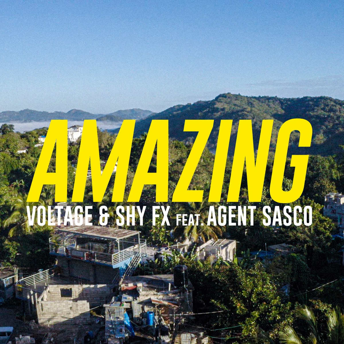 Amazing (feat. Agent Sasco (Assassin)) - Single by Voltage & Shy FX album cover
