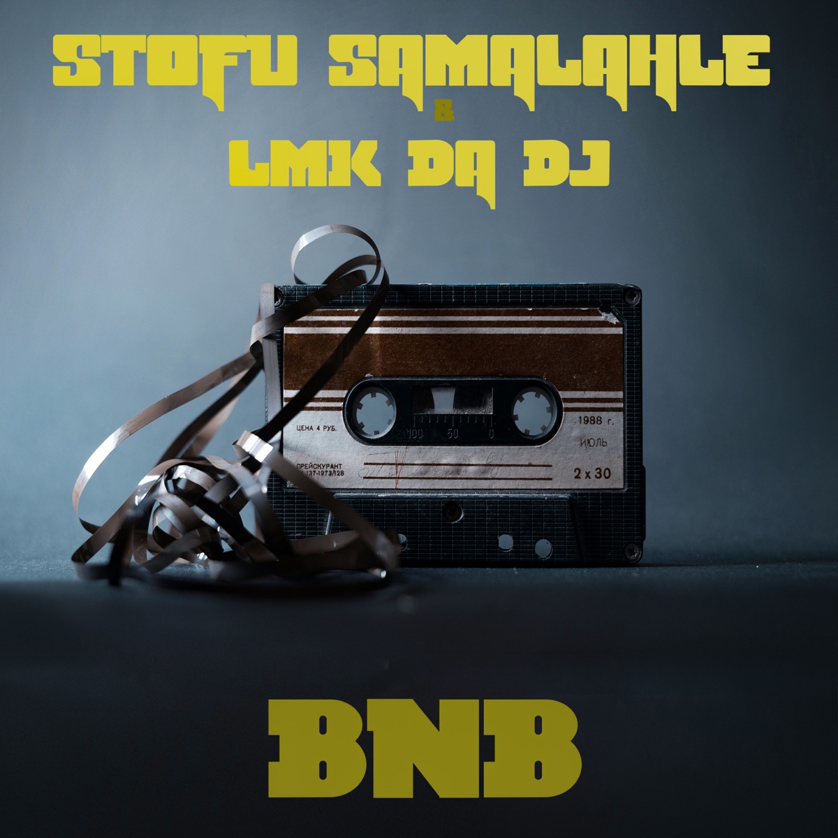 Bnb - Single by LMK Da DJ & Stofu Samalahle album cover