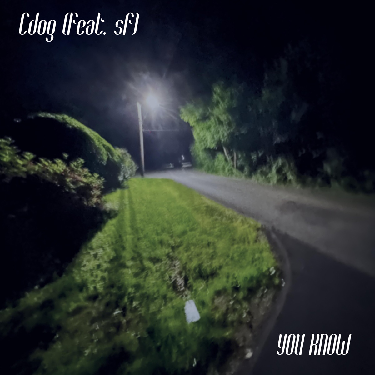 You Know (feat. sf) - Single by Cdog album cover
