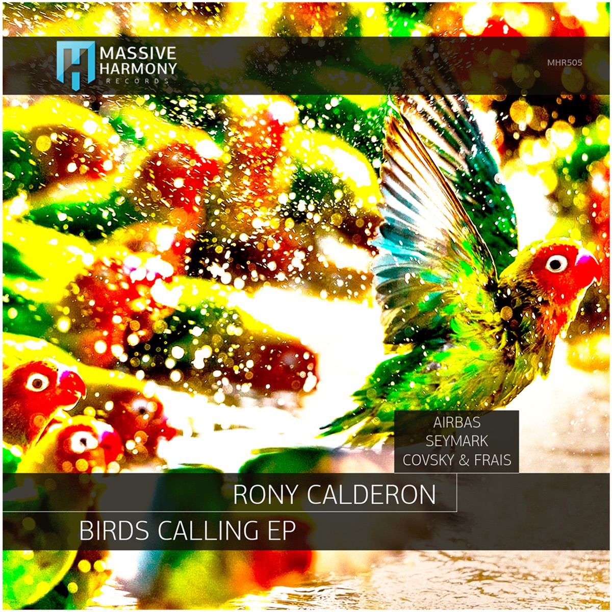 Birds Calling - Single by Rony Calderon album cover