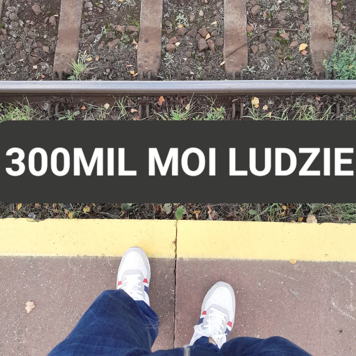 Moi Ludzie - Single by 300MIL album cover