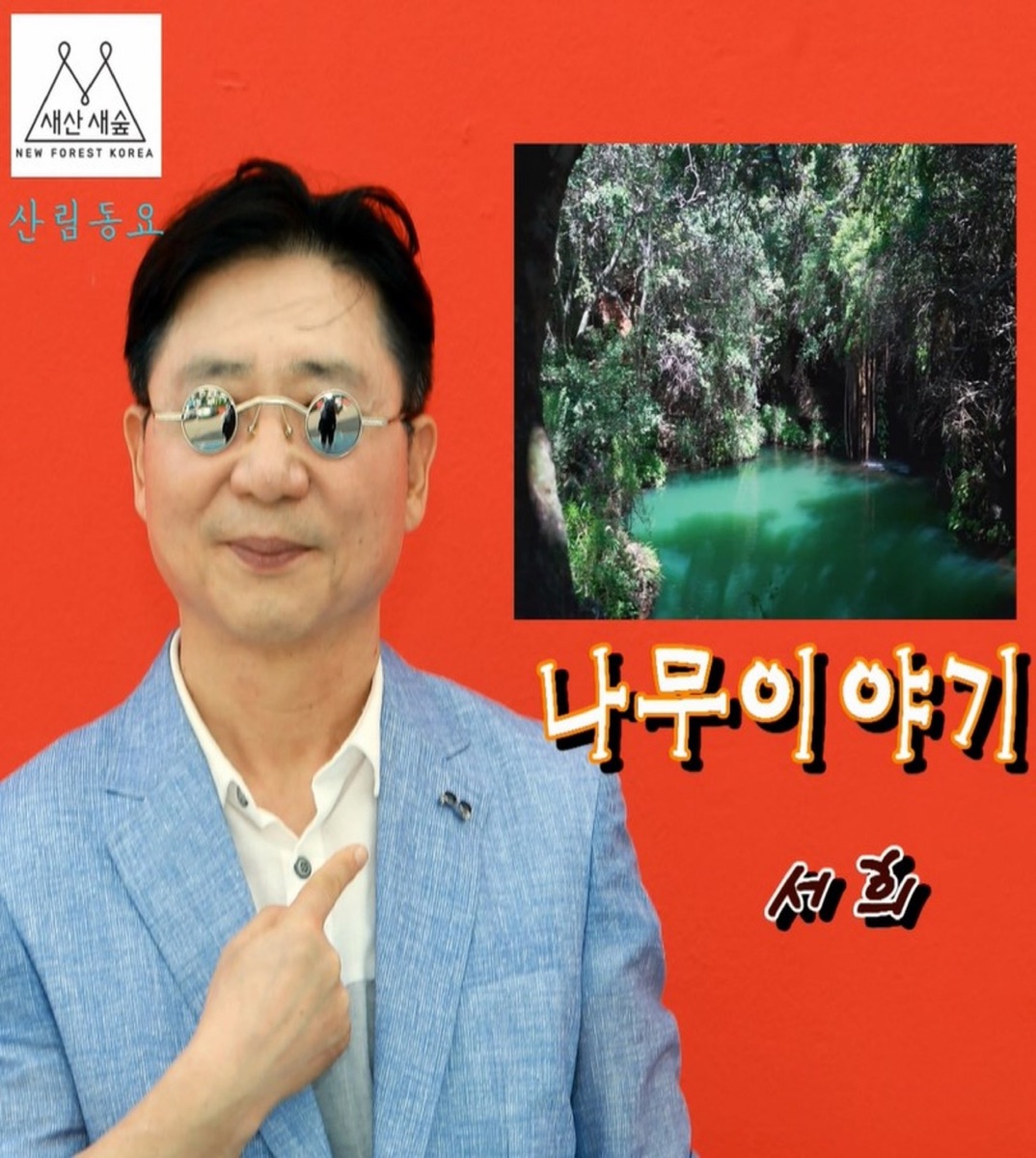 나무이야기 - Single by Seo Hui album cover