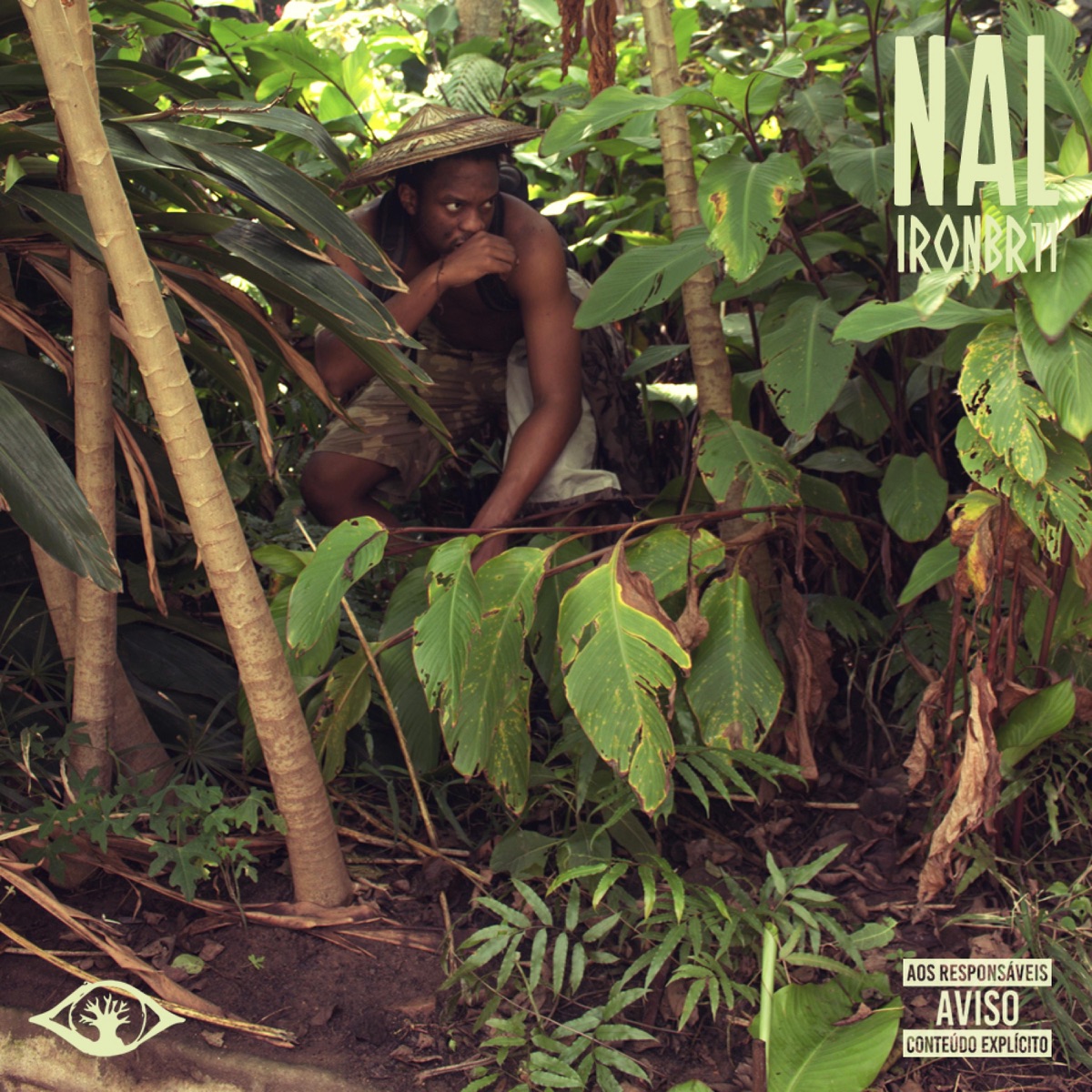NAL by Iron Br11 album cover