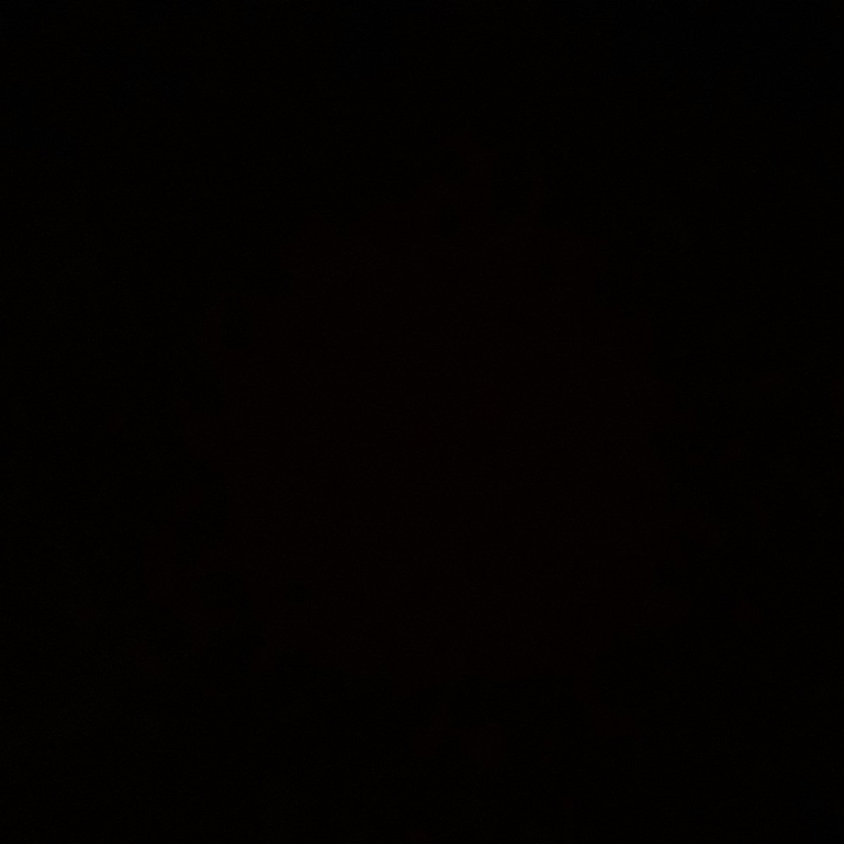For the Party Animals - Single by SkHustle album cover