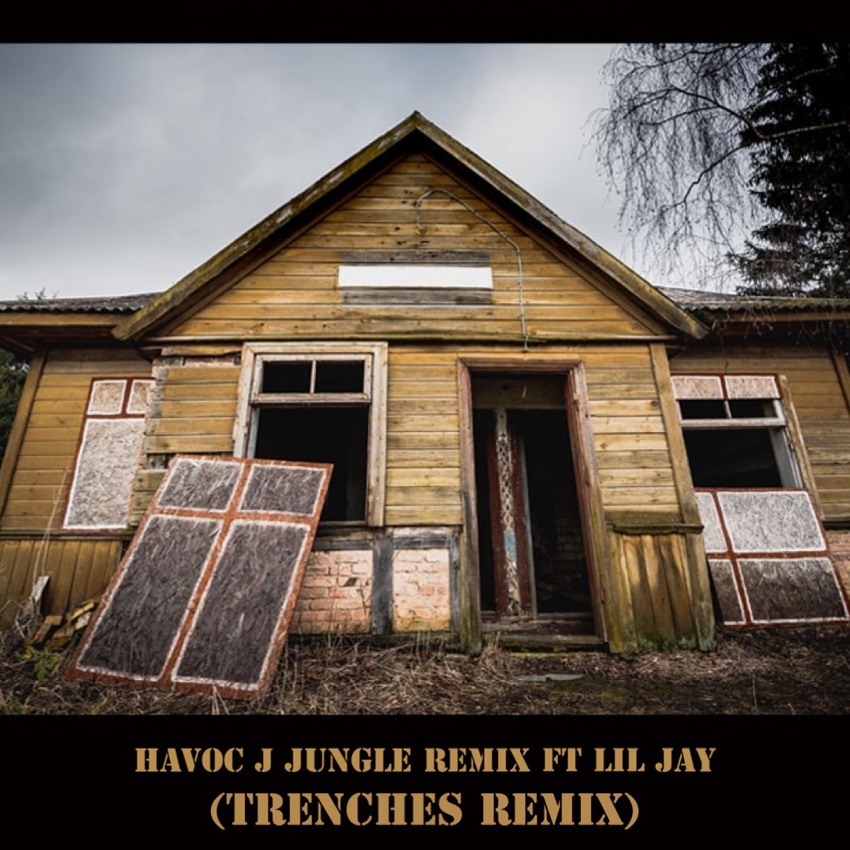 JUNGLE (feat. Lil JayFrmBG) [TRENCHES REMIX] - Single by Havoc J album cover