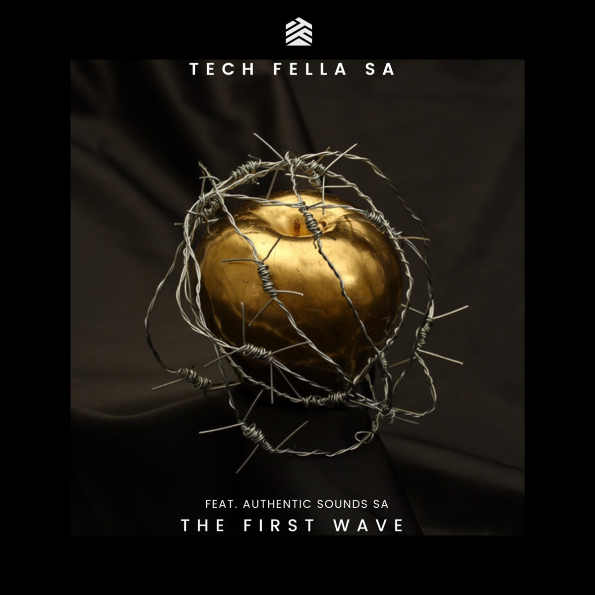 The First Wave (feat. Authentic Sounds SA) - Single by Tech Fella Sa album cover