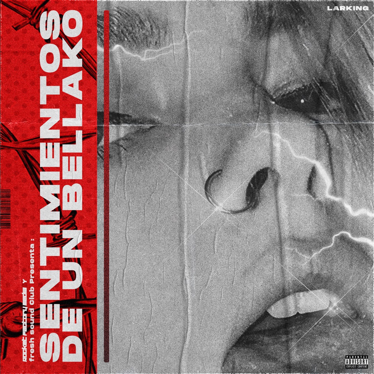 Sentimientos De Un Bellako by Larking album cover