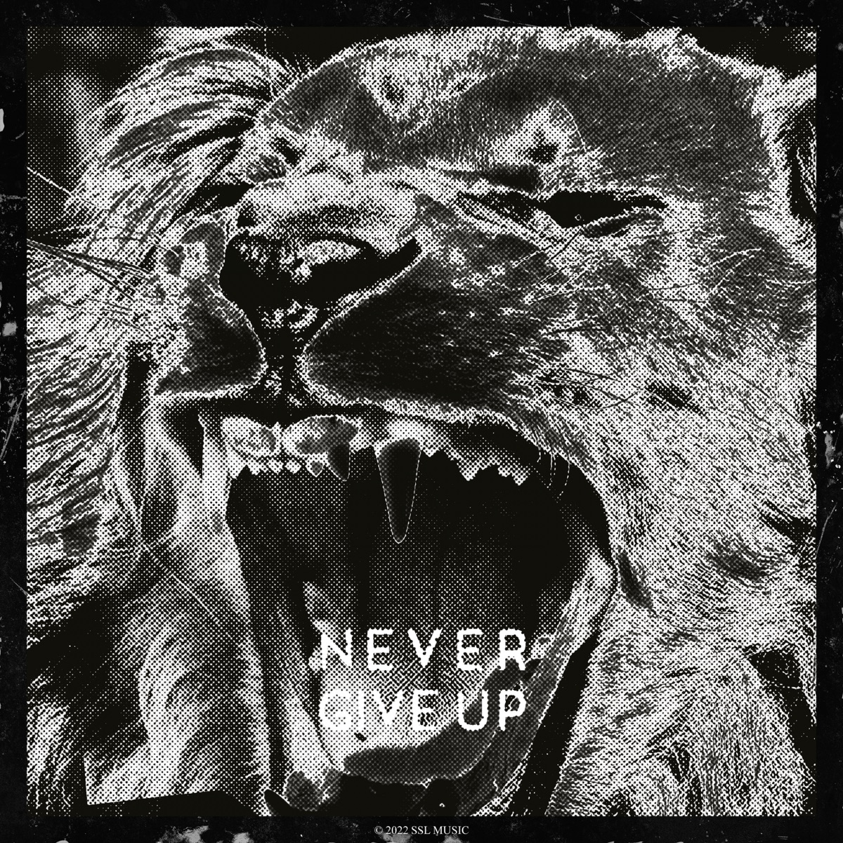 Never Give Up - Single by Bravetone album cover
