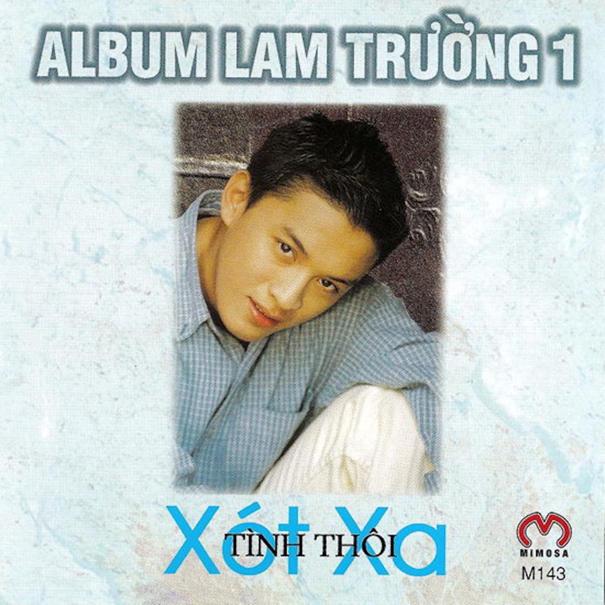 Tình Thôi Xót Xa by Lam Trường album cover