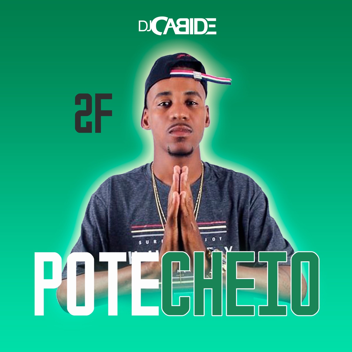 Pote Cheio - Single by DJ Cabide & 2F album cover