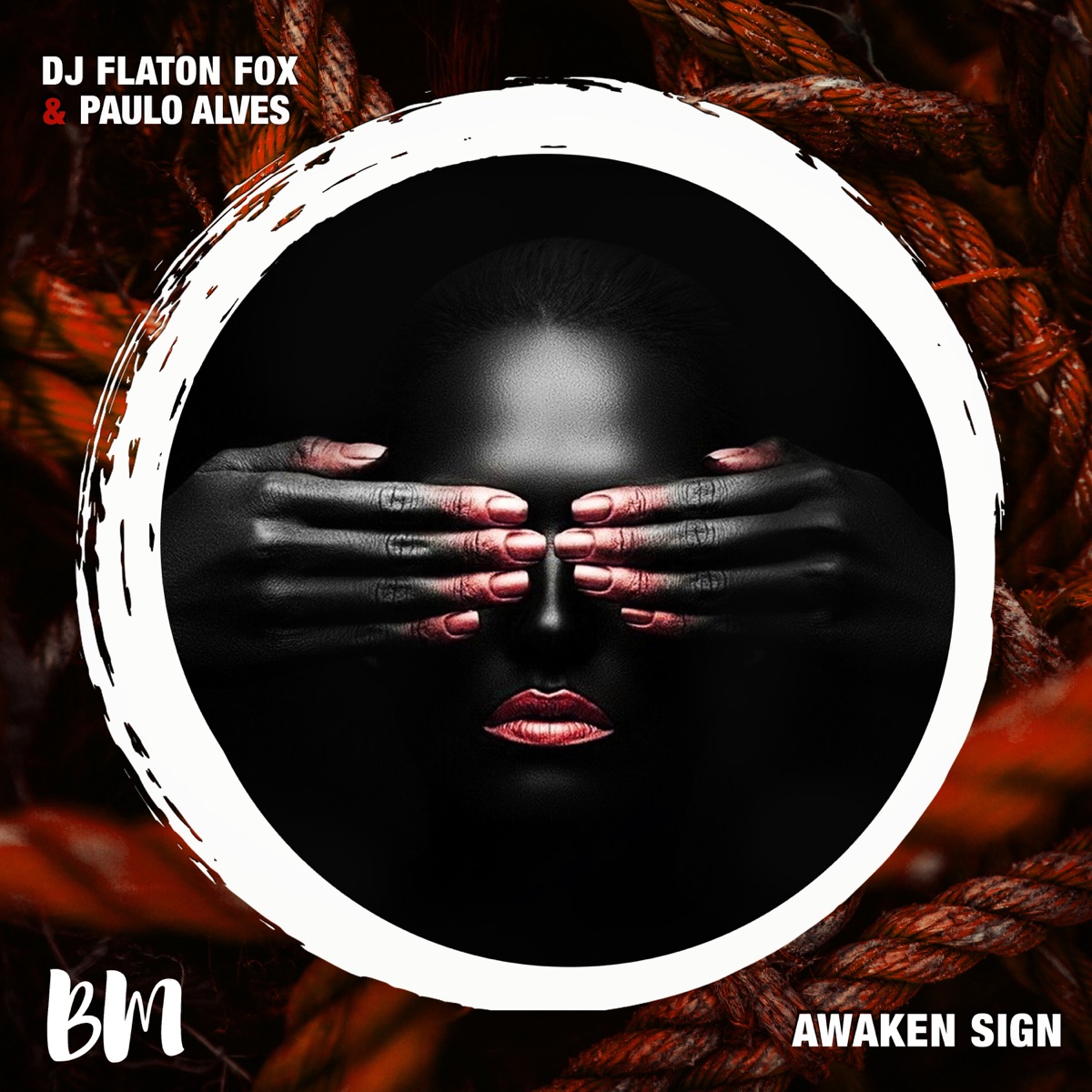 Awaken Sign - Single by DJ Flaton Fox & Paulo Alves album cover