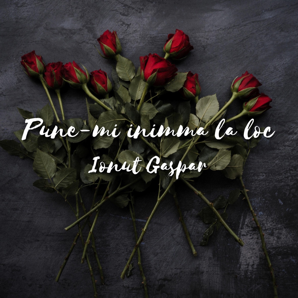 Pune-mi Inima La Loc - Single by Ionut Gaspar album cover