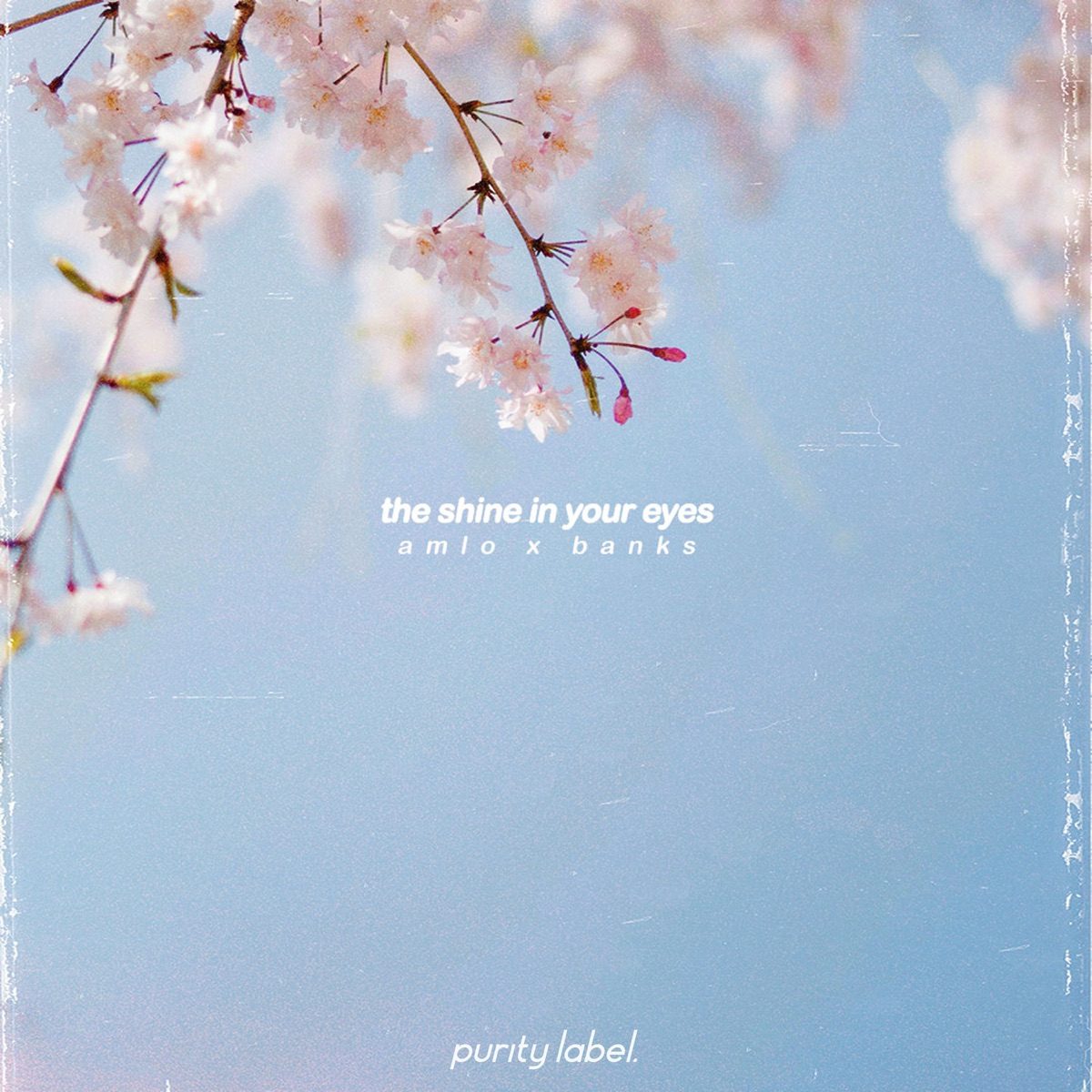 The Shine In Your Eyes - Single by amlo & Banks album cover