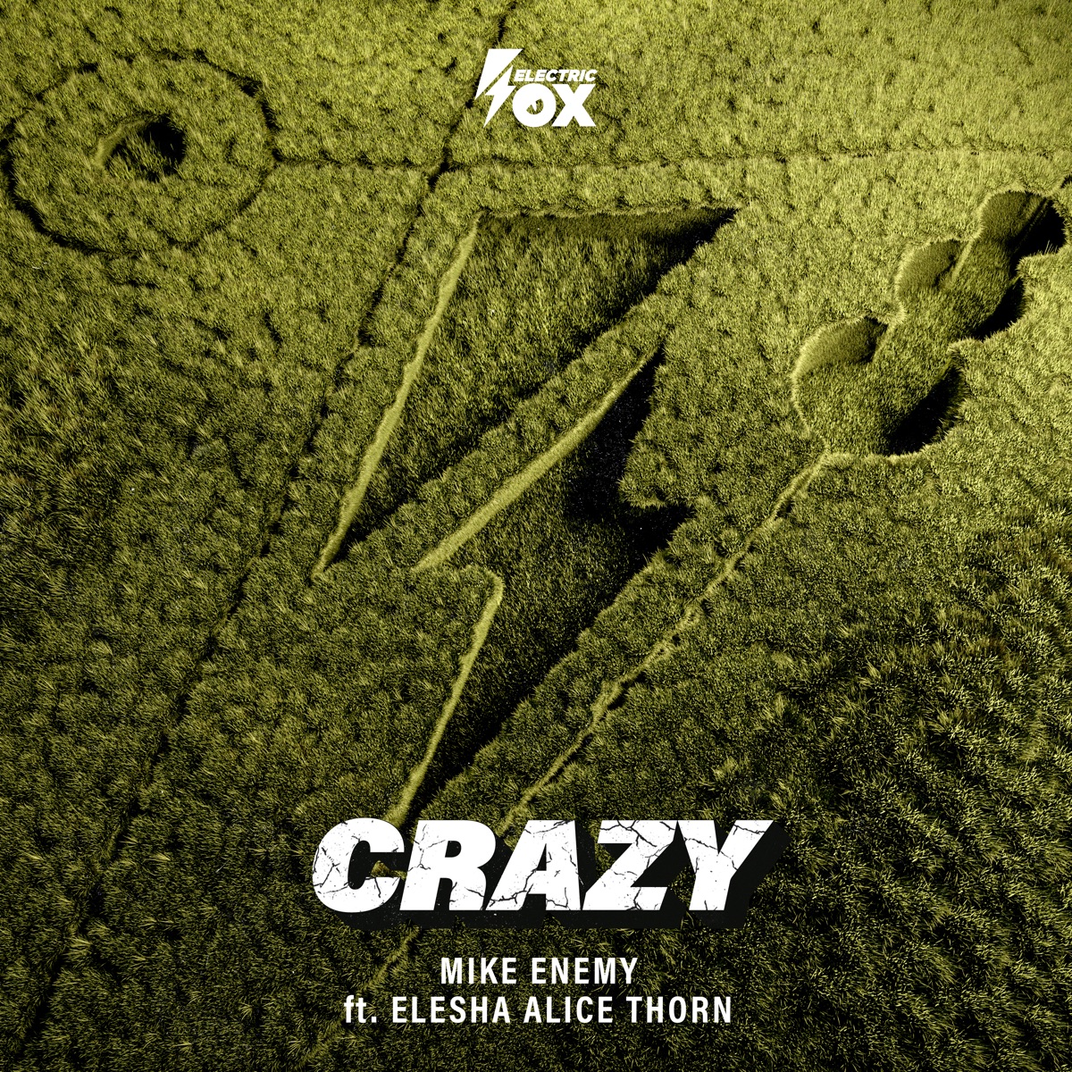 Crazy - Single by Mike Enemy & Elesha Alice Thorn album cover