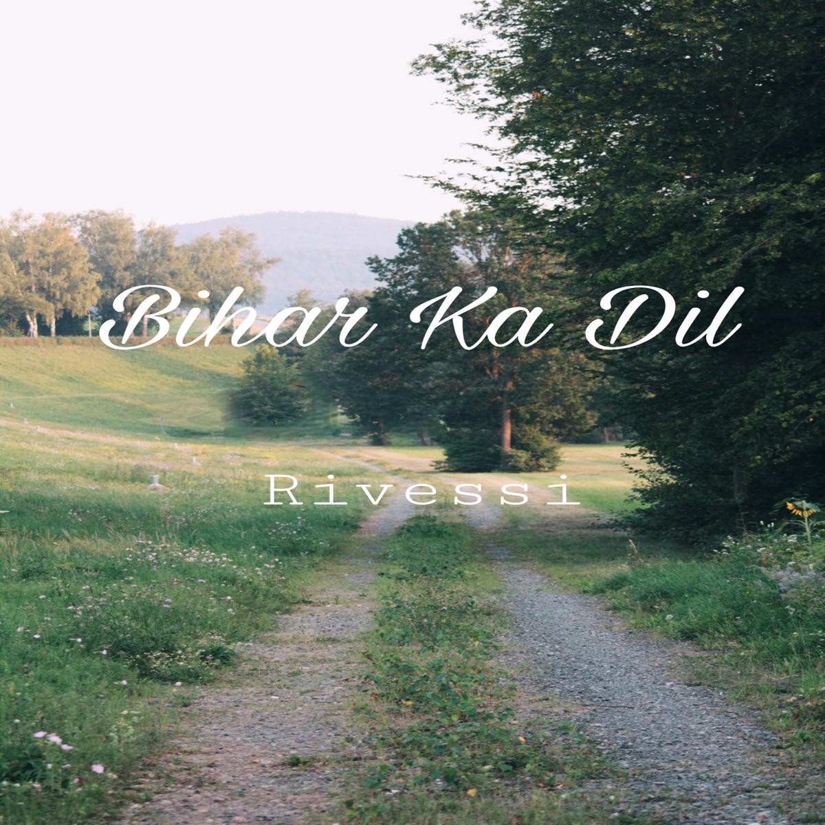 Bihar Ka Dil - Single by Rivessi album cover