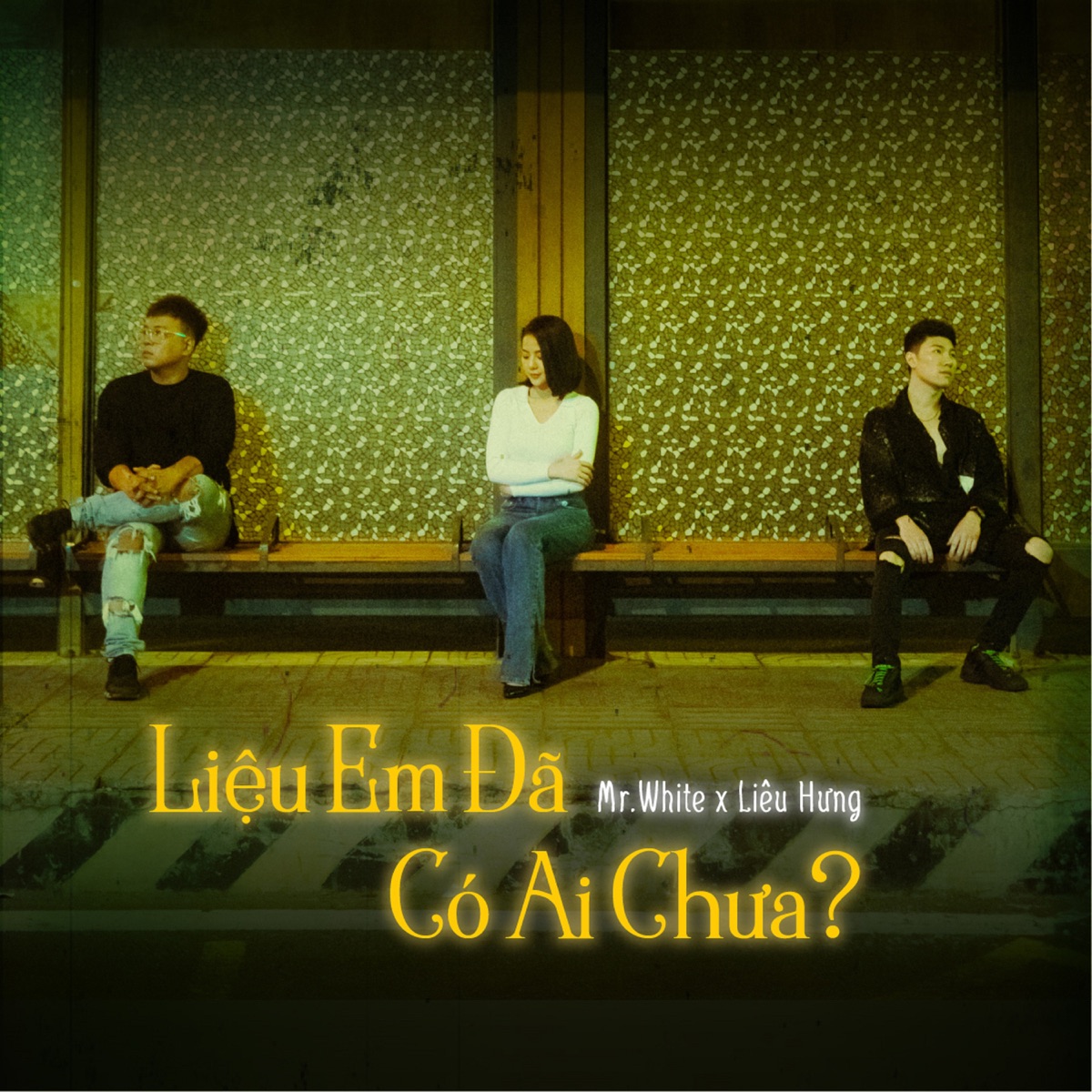 Liệu Em Đã Có Ai Chưa - Single by Mr. White & Liêu Hưng album cover