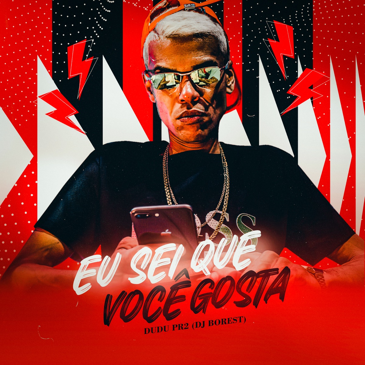 Eu sei que você gosta (feat. Dj Borest) - Single by Dudu Pr2 album cover
