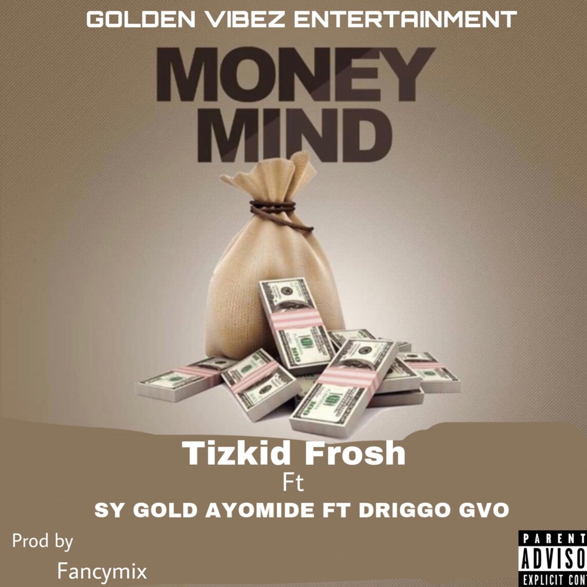 Money mind (feat. Tizkid Frosh & Driggo gvo) - Single by Sy Gold Ayomide album cover