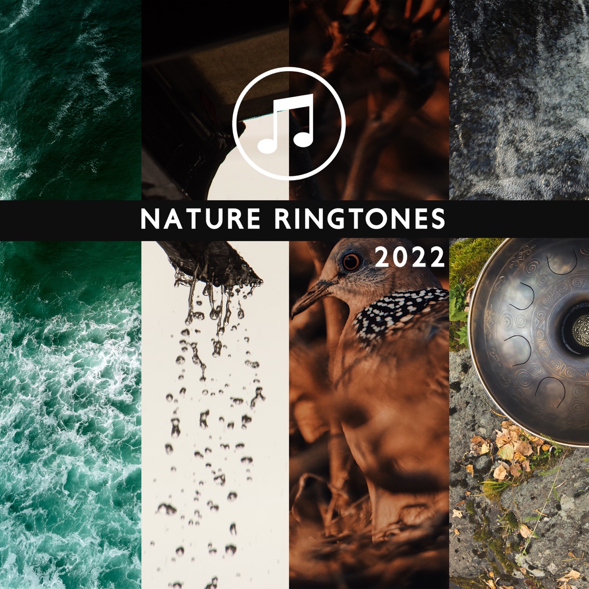 Nature Ringtones 2022: Hang Drum & Ocean Waves & Rain Sounds & Thunderstorm & Forest & Stream & Birds by Sonia White, Forest Winston & Hang Drum Pro album cover