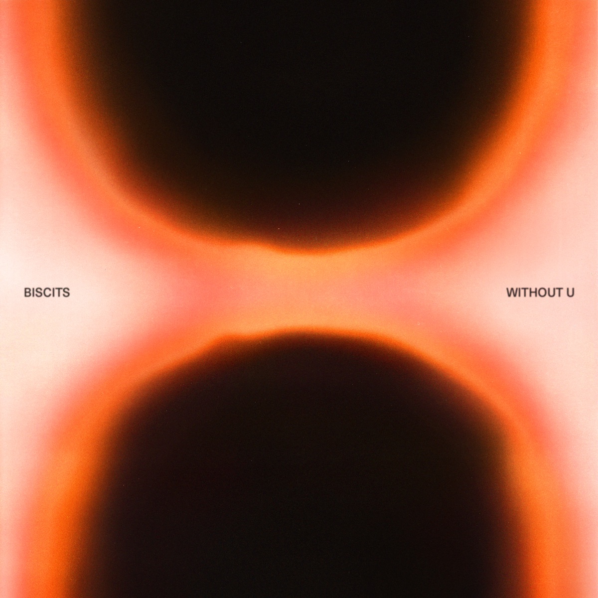 Without U by Biscits album cover