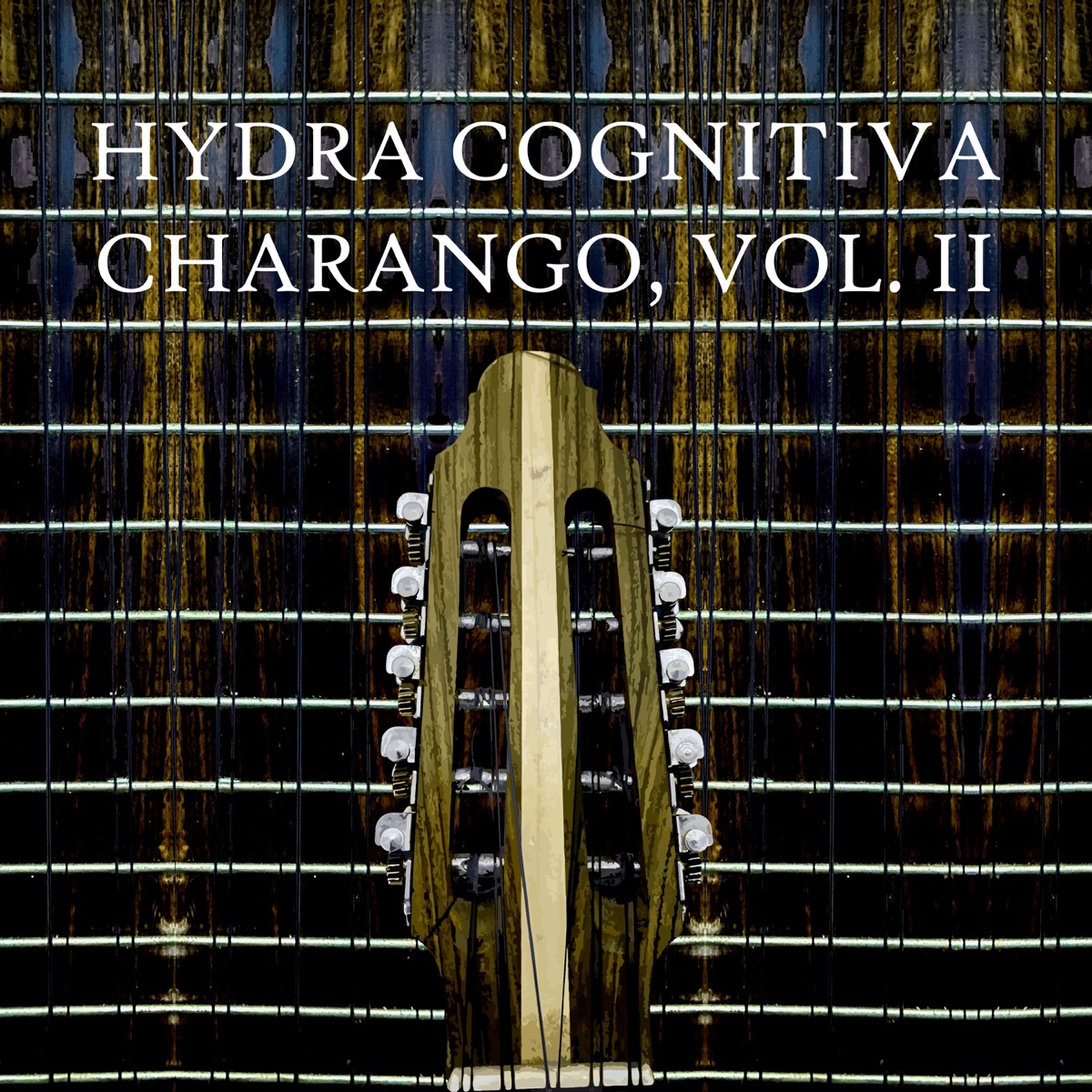 Charango, Vol. 2 by Hydra Cognitiva album cover