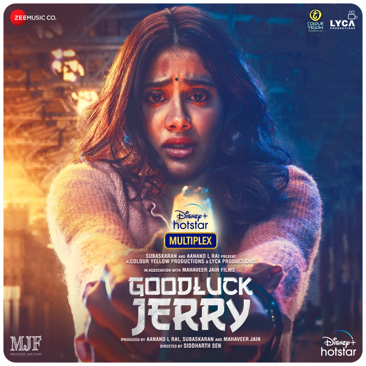 Goodluck Jerry (Original Motion Picture Soundtrack) by Parag Chhabra, Raj Shekhar & Soom T album cover