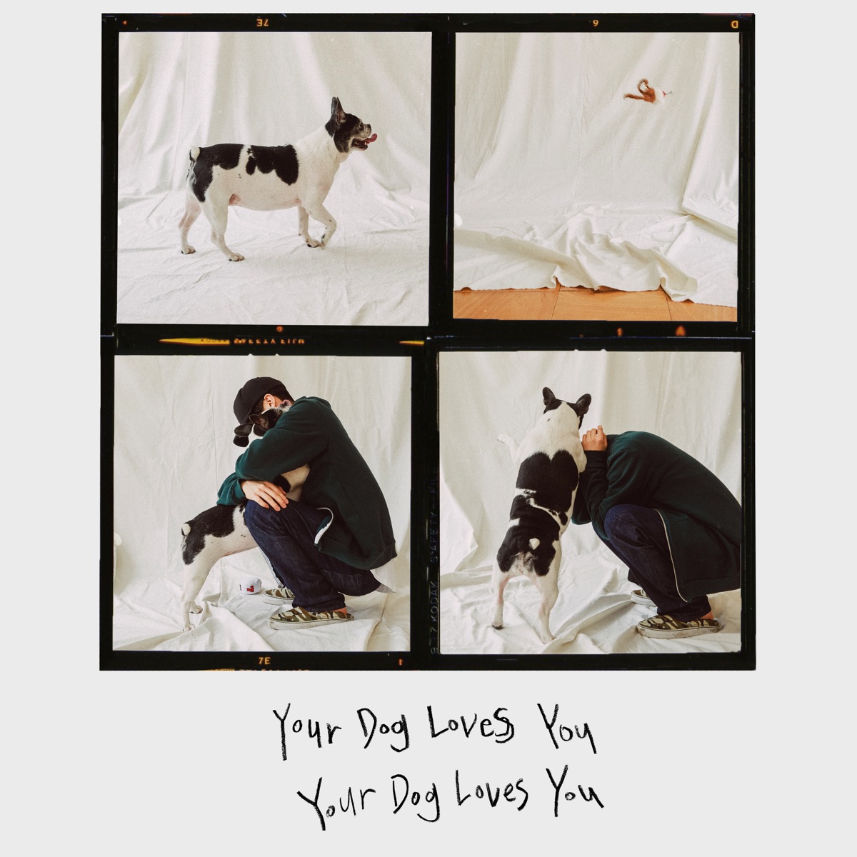 Your Dog Loves You (feat. Crush) - Single by Colde album cover