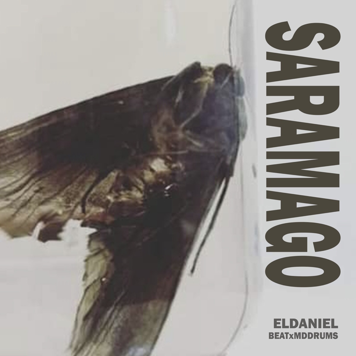 Saramago - Single by El Daniel album cover