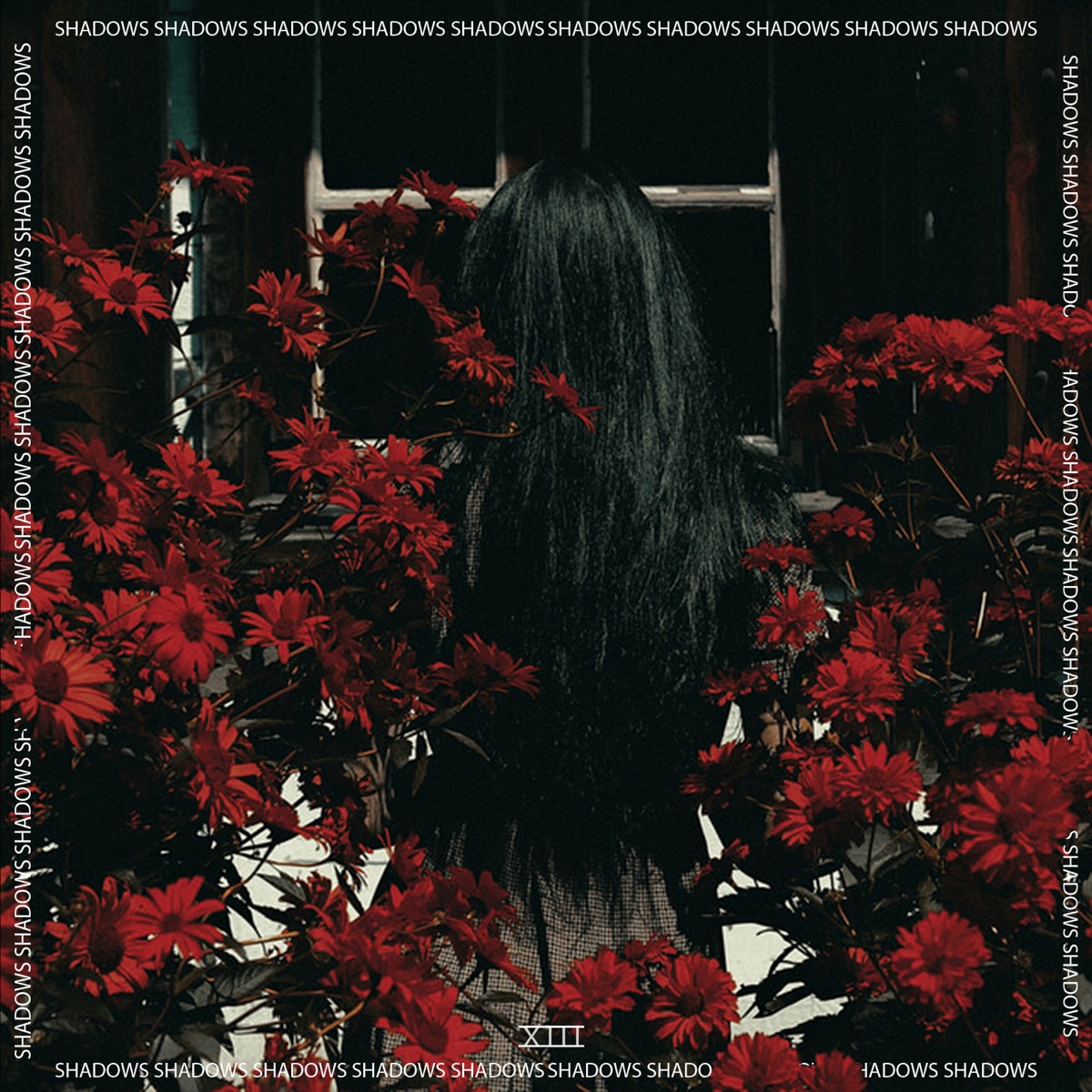 SHADOWS (feat. Ftureable) - Single by ANUBIS-XIII album cover