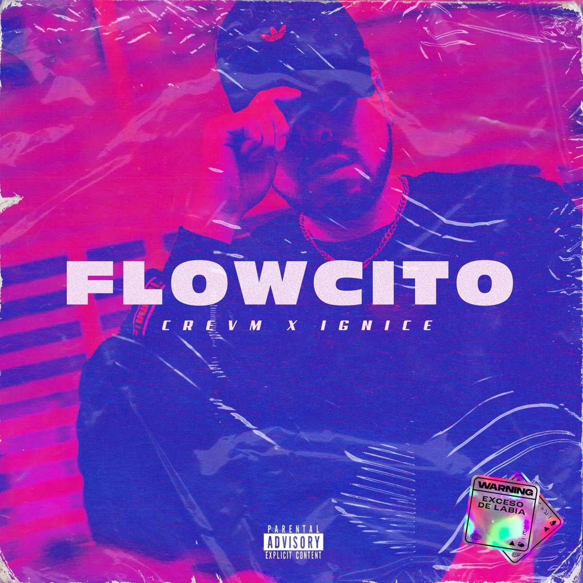 Flowcito (feat. Ignice la Mano Maestra) - Single by Crevm album cover