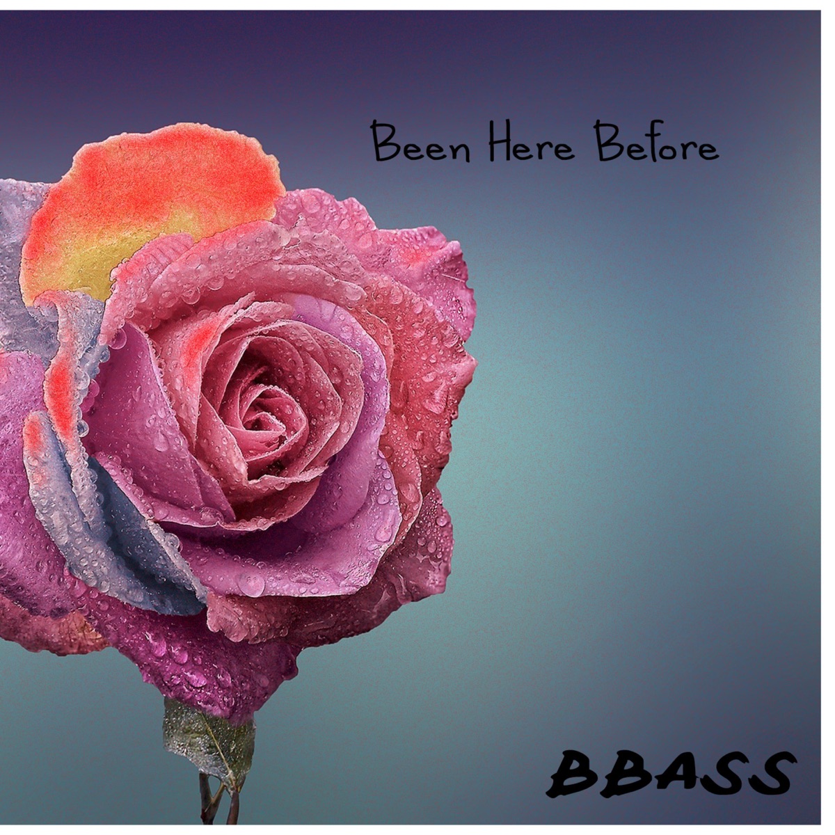 Been Here Before - Single by BBass album cover