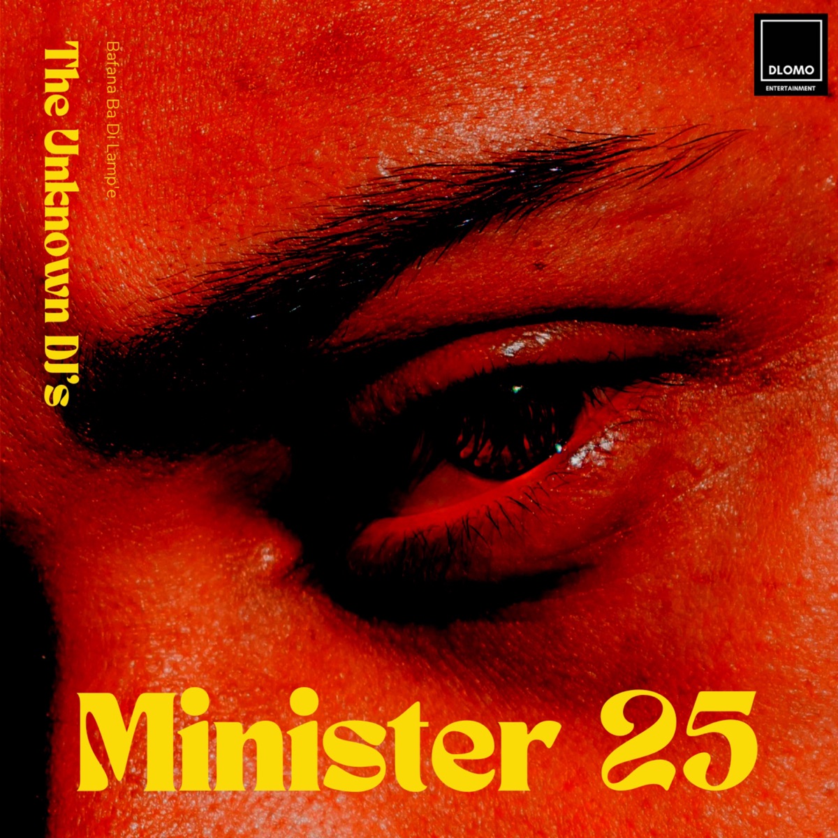Minister 25 - Single by The Unknown DJ's album cover