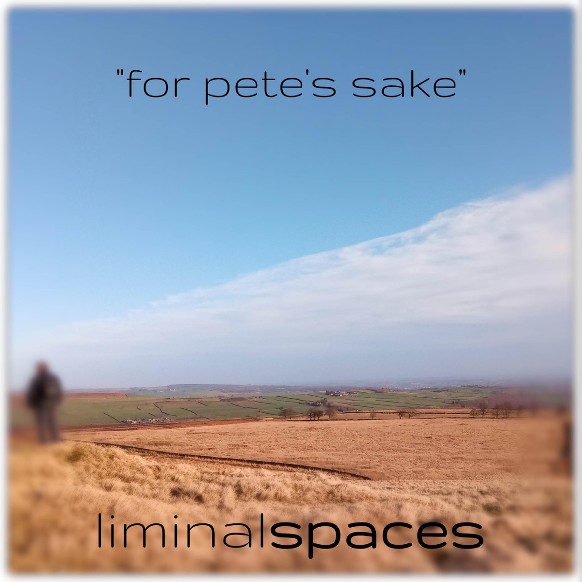 For Pete's Sake - Single by Liminal Spaces album cover