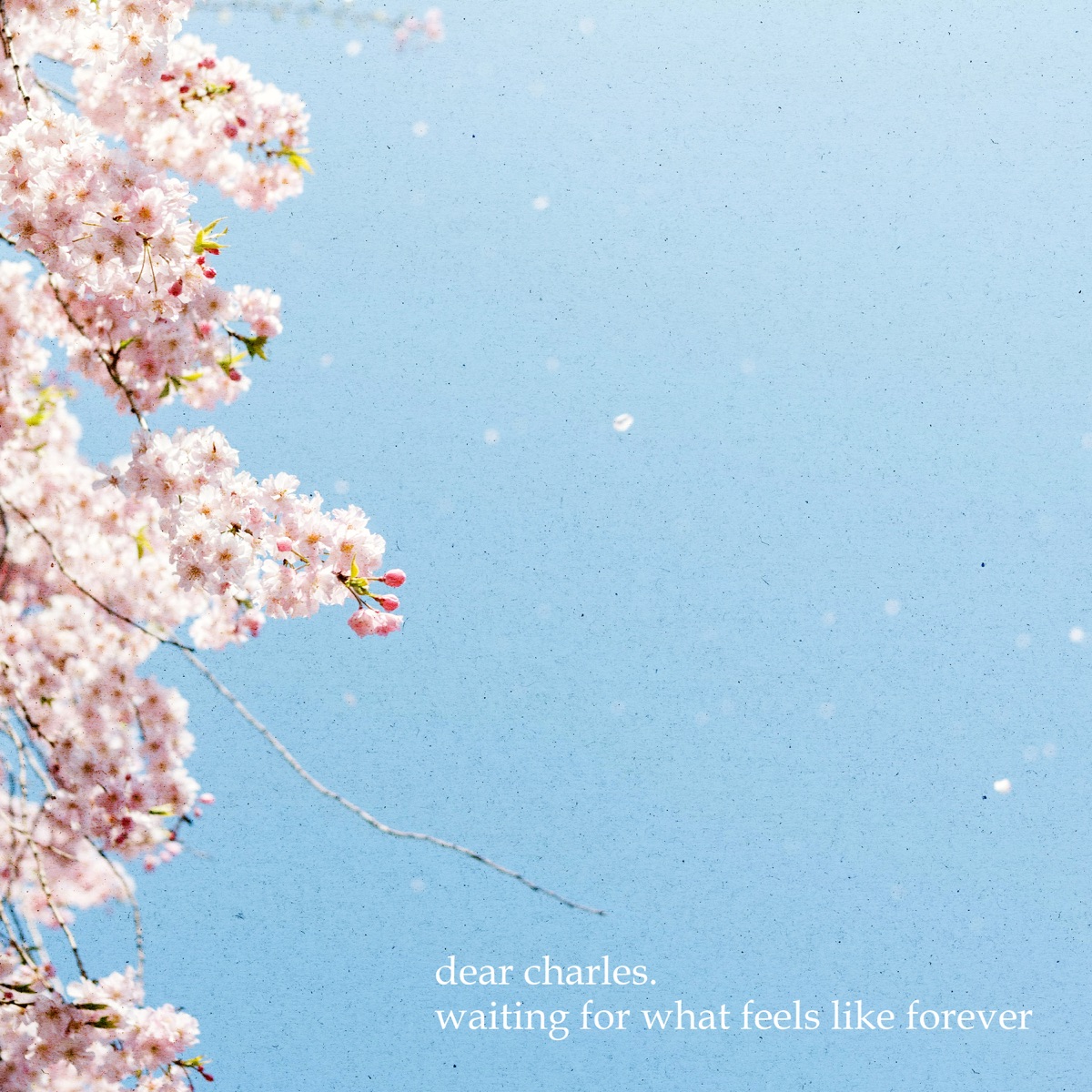 Waiting For What Feels Like Forever - Single by dear charles. album cover