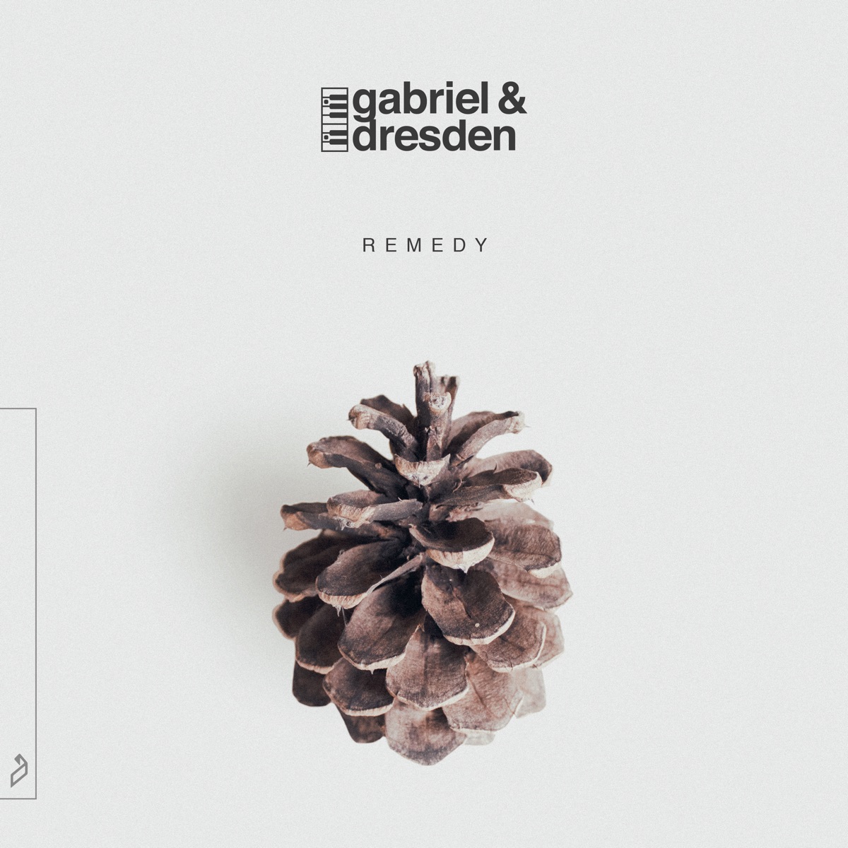 Remedy by Gabriel & Dresden album cover
