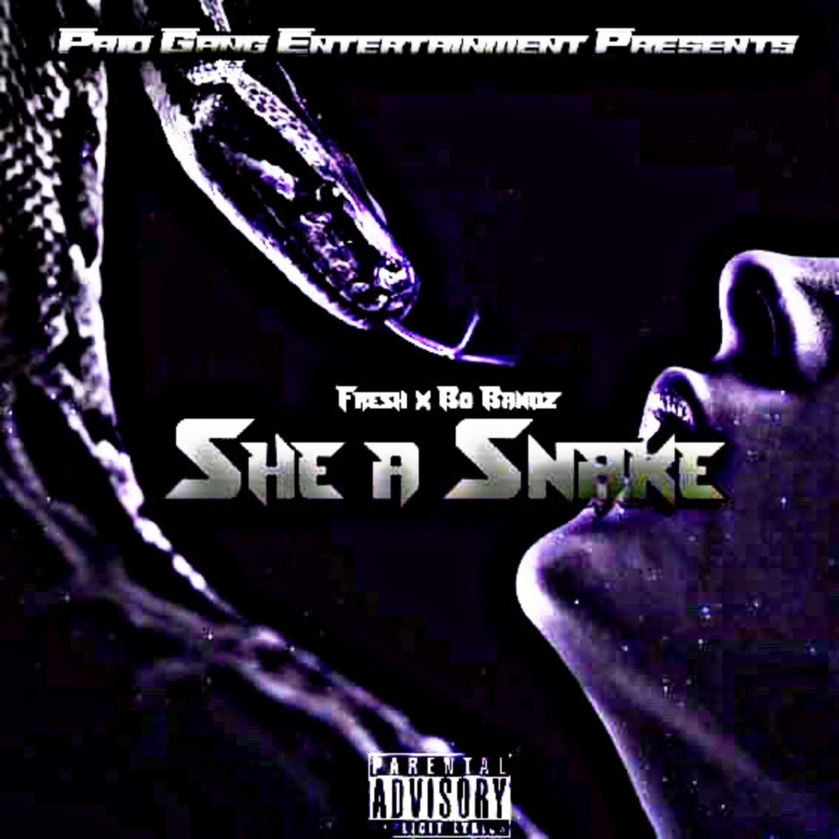 She a Snake - Single by Fresh & Bo Bandz album cover
