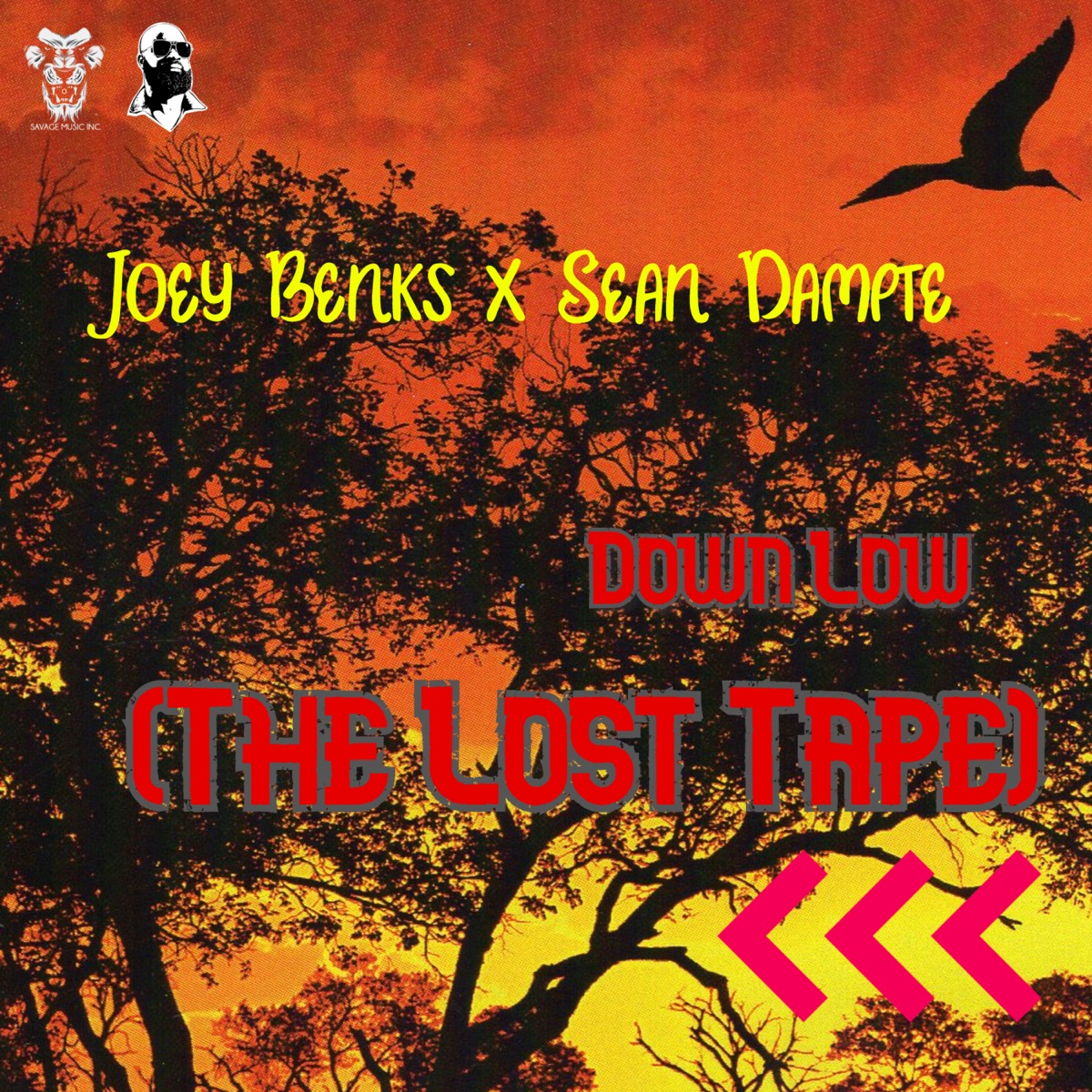 Down Low (The Lost Tape) [Radio] - Single by Joey Benks & Sean Dampte album cover