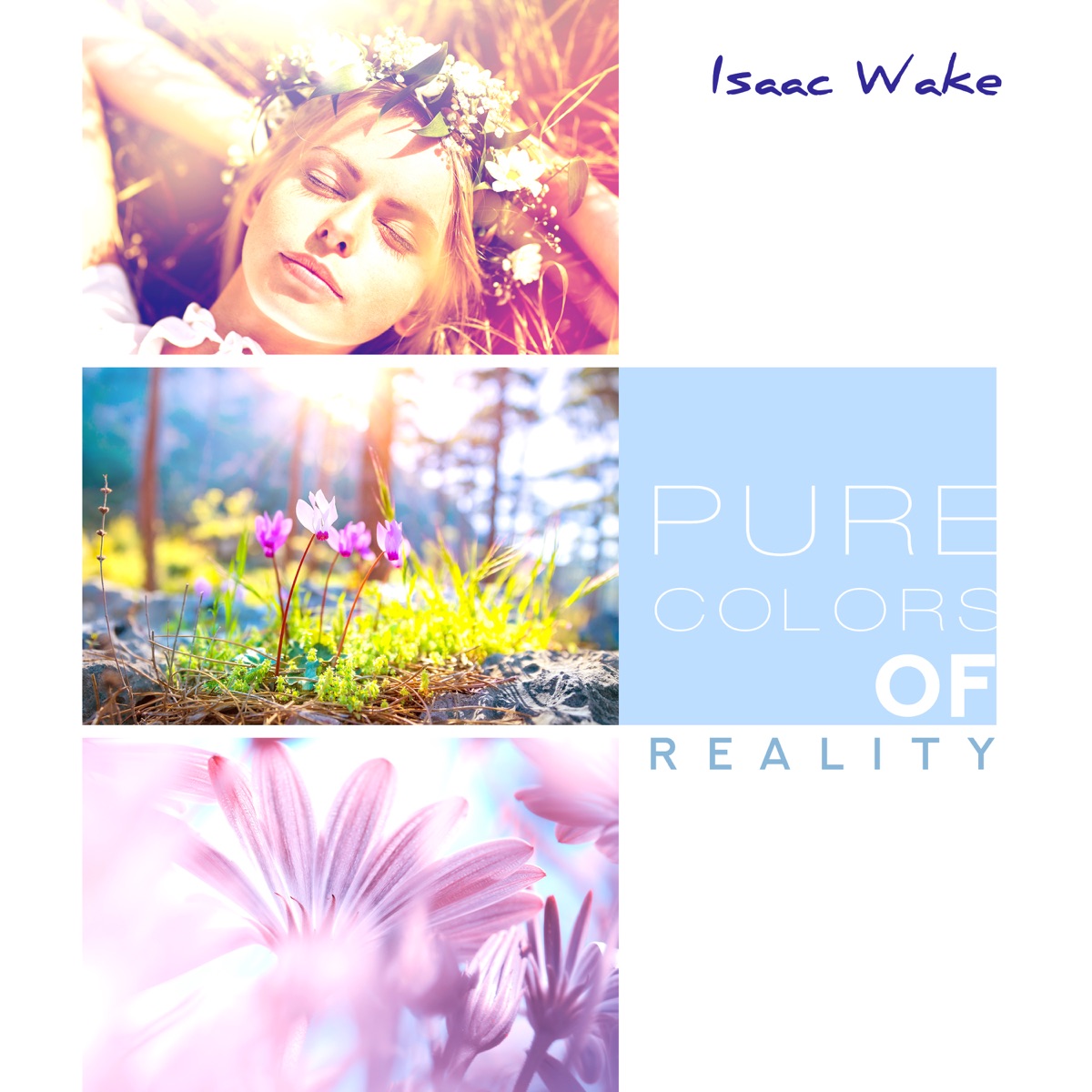 Pure Colors of Reality by Isaac Wake album cover