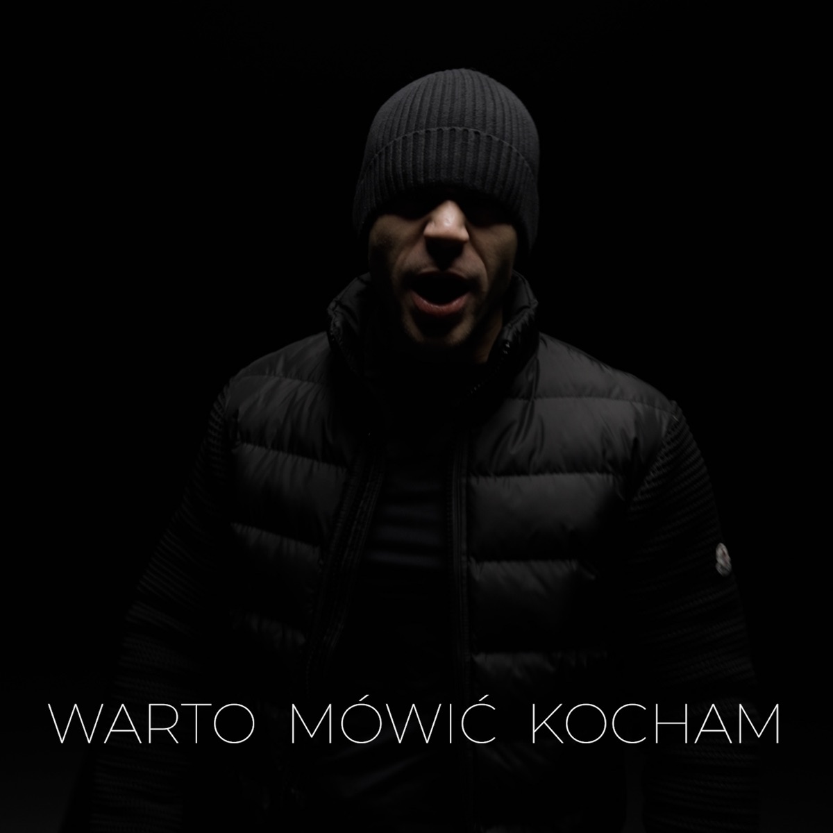 Warto Mówić Kocham - Single by Polska Wersja, Hinol Polska Wersja & Jano Polska Wersja album cover