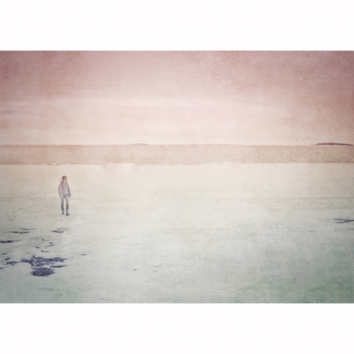 The Shades Within - Single by Niva album cover