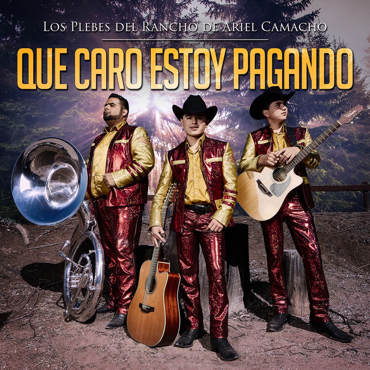 Qué Caro Estoy Pagando - Single by Los Plebes del Rancho de Ariel Camacho album cover