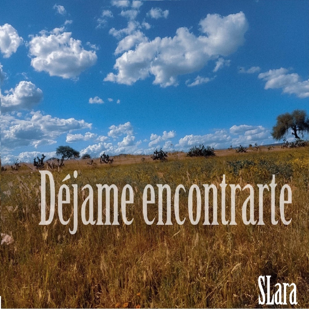Déjame encontrarte - Single by Slara album cover