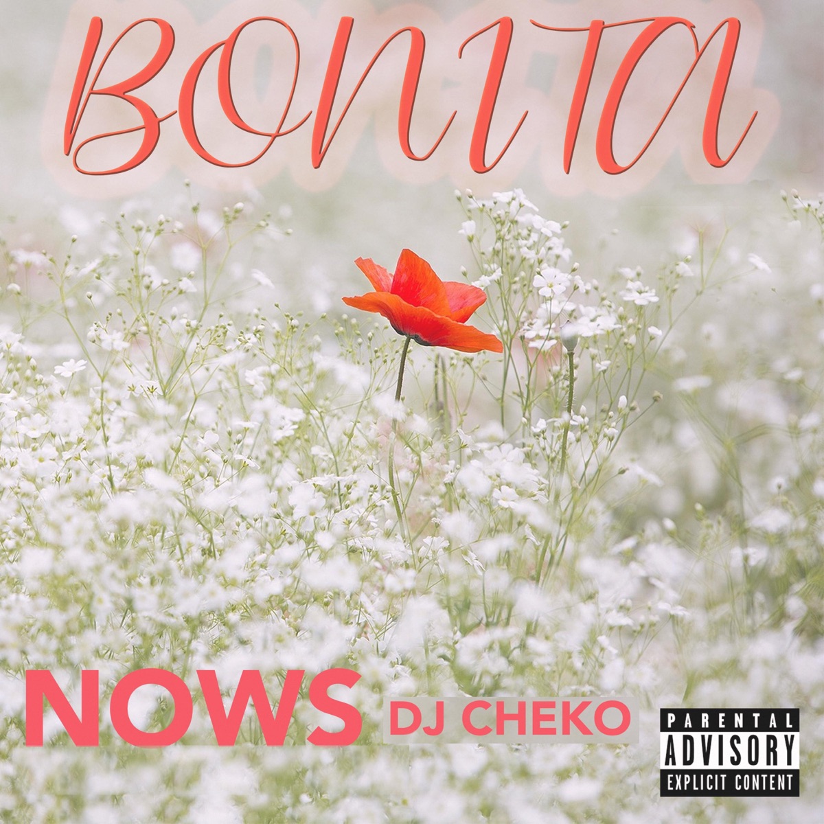 Bonita (feat. Dj Cheko) - Single by Nows album cover