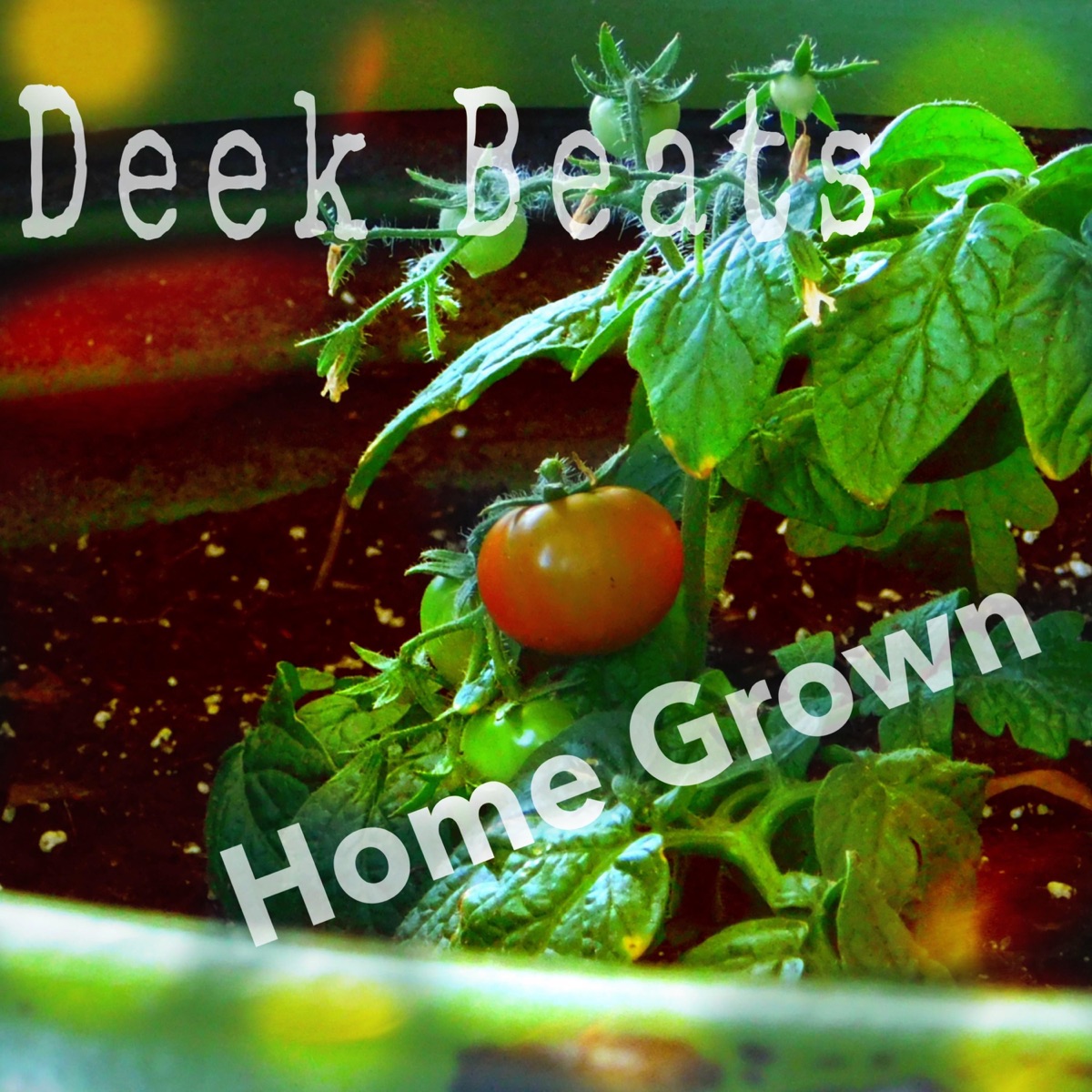 Home Grown by Deek Beats album cover
