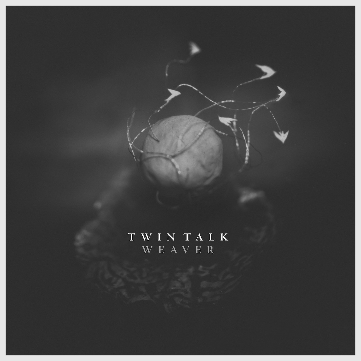Weaver by Twin Talk album cover