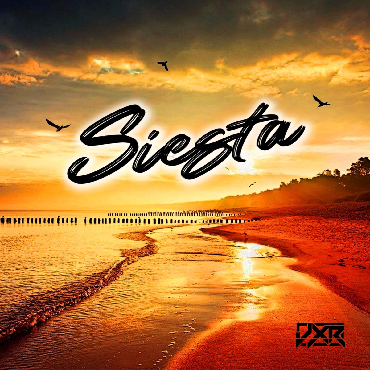Siesta - Single by JXR album cover